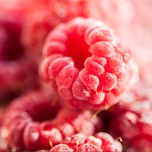 Eau Florale de Framboise dans Bebio